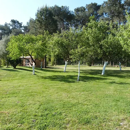 La Maison De Brigitte Affittacamere